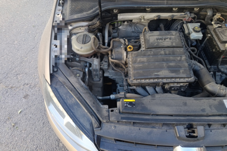 大众 高尔夫 2017款 1.6L 自动舒适百万辆纪念版局部细节9006