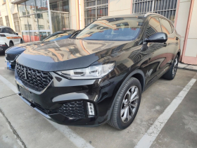 魏牌 VV6 2018款 2.0T 两驱旗舰型 国V