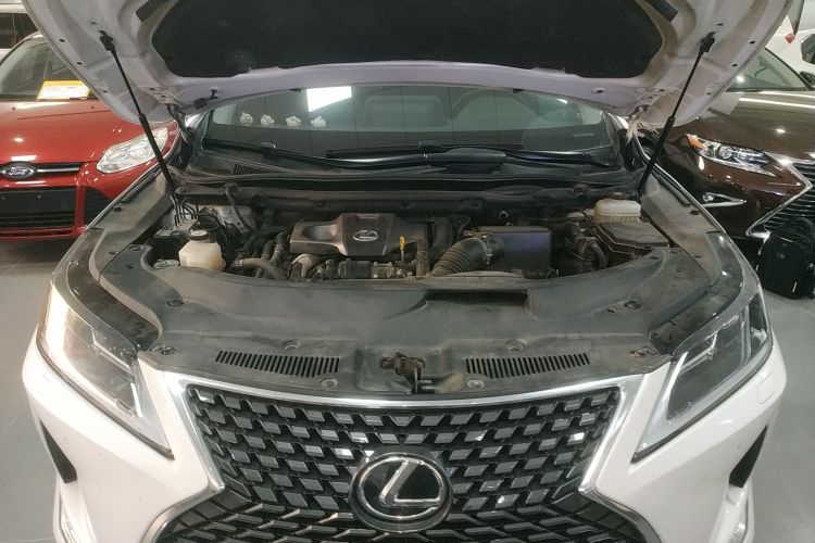 雷克萨斯RX 2020款 300 两驱精英版 国VI局部细节24