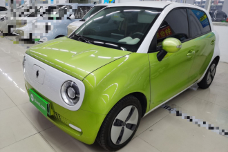 欧拉黑猫 2021款 301km 基础型