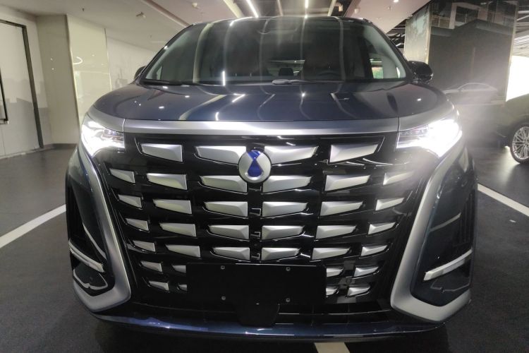 腾势D9 2024款 DM-i 980 四驱尊贵型车身外观2