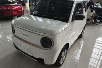 吉利银河 2023款 熊猫mini 200km 耐力熊