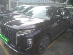 红旗HS7 PHEV 2024款 2.0T PHEV 四驱旗畅版 6座