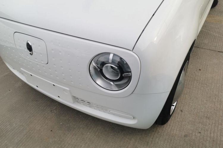 欧拉黑猫 2021款 301km 基础型局部细节36