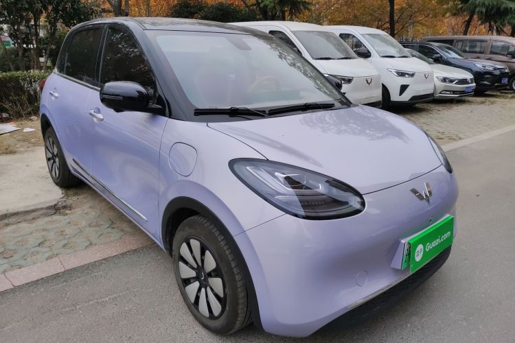 五菱汽车 五菱缤果 2025款 410km 灵犀尊享款车身外观3