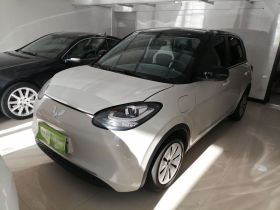 五菱汽车 五菱缤果 2023款 333km 快享款