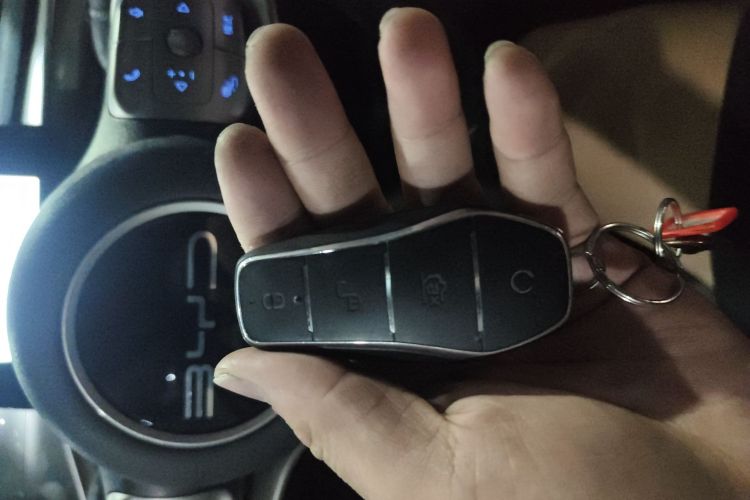 比亚迪 海豚 2023款 420km 自由版中控内饰11