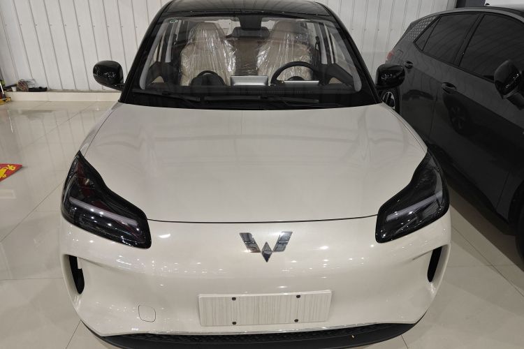 五菱汽车 五菱缤果PLUS 2024款 330km 五座版车身外观2