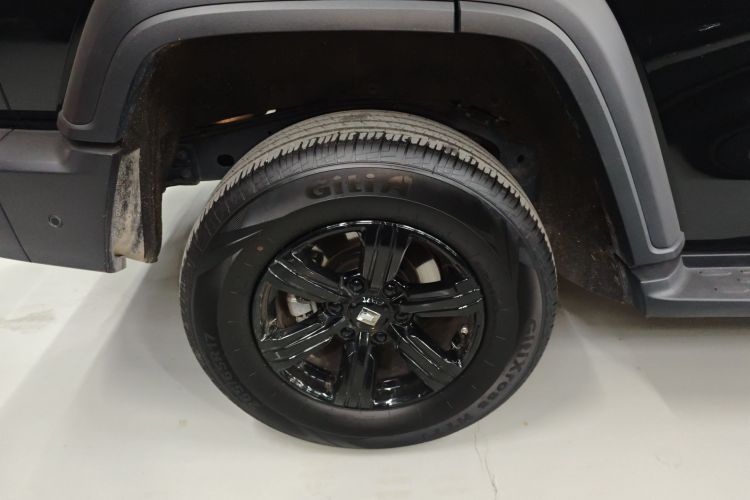 坦克300 2025款 2.0T 征服者车身外观6008