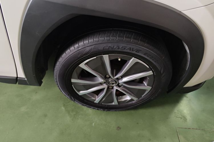 雷克萨斯UX新能源 2020款 300e 纯·悦版车身外观6007