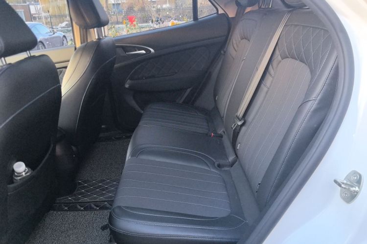 欧拉好猫 2021款 400km标准续航 维纳斯版 三元锂中控内饰21