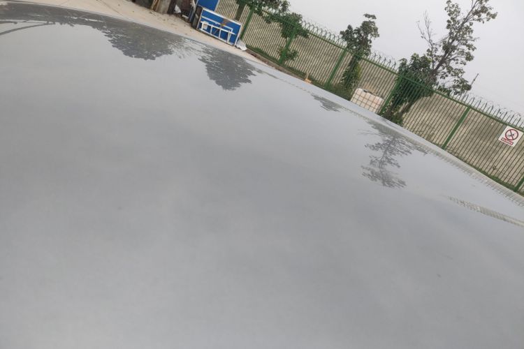 比亚迪 海豚 2023款 420km 自由版车身外观57