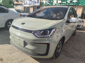 思皓 2022款 花仙子款 满天星