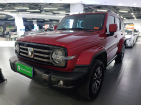 坦克300 2023款 城市版 2.0T 必须型