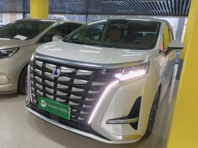 腾势D9 2022款 DM-i 970 四驱旗舰型