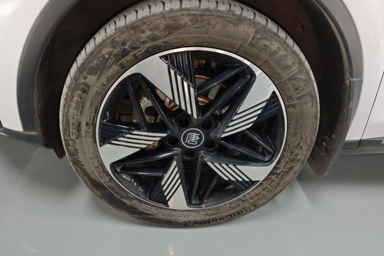 比亚迪 唐新能源 2023款 DM-i 冠军版 112KM 尊荣型车身外观6007