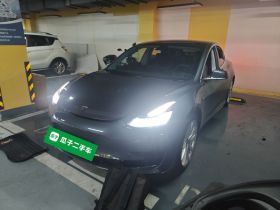 特斯拉 Model 3 2019款 标准续航后驱升级版