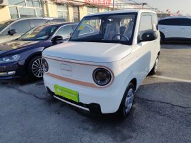 吉利银河 2024款 熊猫mini 200km 耐力熊