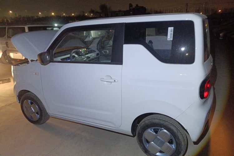 吉利银河 2024款 熊猫mini 200km 耐力熊车身外观6003