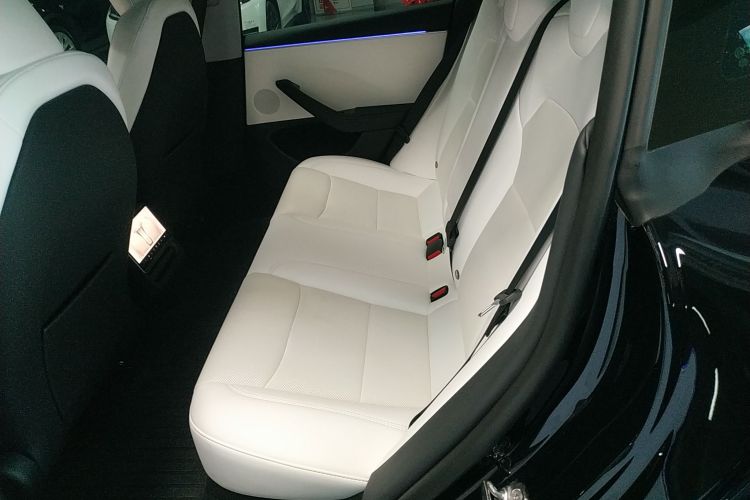 特斯拉 Model 3 2023款 后轮驱动版中控内饰21