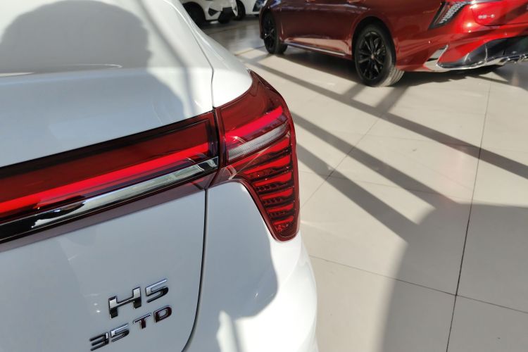 红旗H5 2024款 1.5T DCT智联旗韵版车身外观9