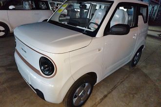 吉利银河 2024款 熊猫mini 200km 耐力熊