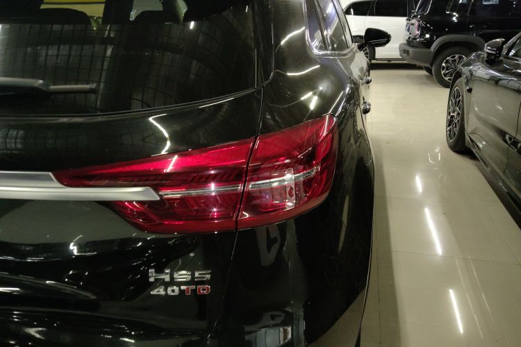 红旗HS5 2019款 2.0T 智联旗领四驱版车身外观6006