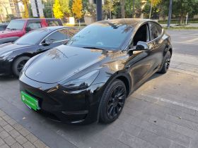 特斯拉 Model Y 2021款 标准续航后驱版
