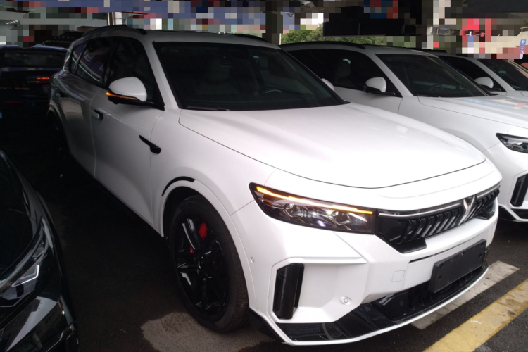 岚图汽车 岚图FREE 2025款 318 318km 后驱环游版车身外观6002