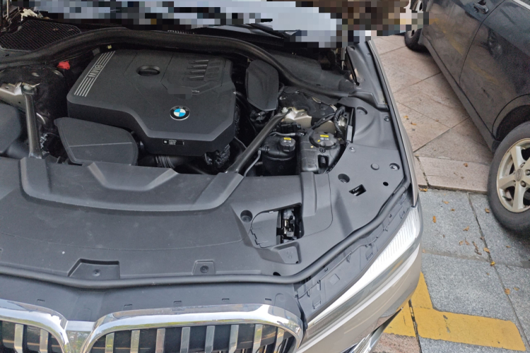 宝马7系 2019款 730Li 豪华套装局部细节9007