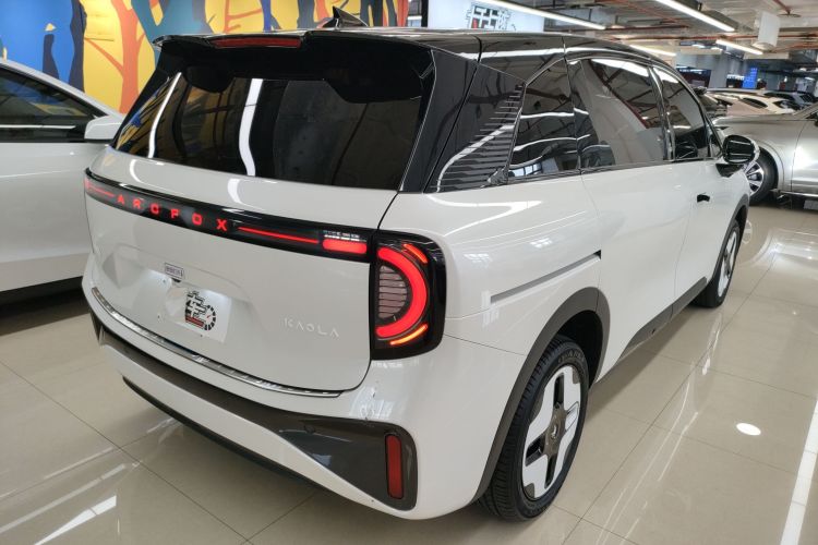 ARCFOX极狐 极狐考拉 2023款 家庭版Pro车身外观6005