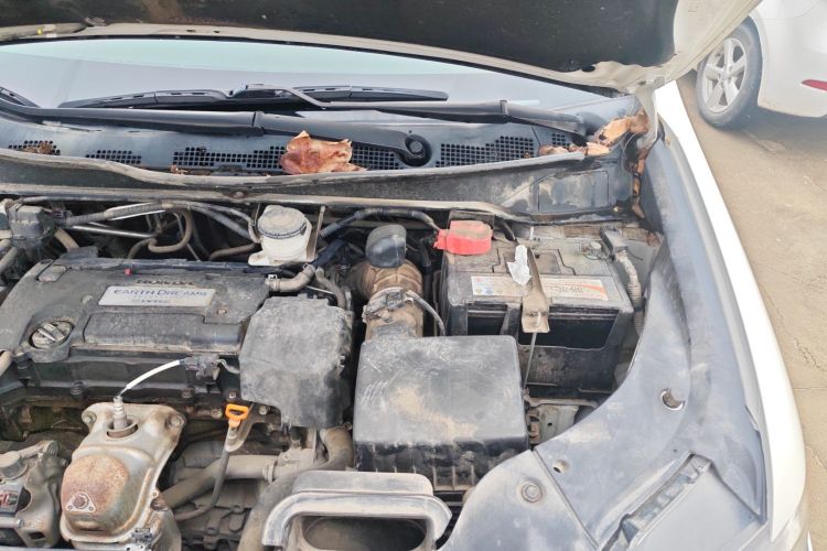 本田 艾力绅 2016款 2.4L 风尚版局部细节9007