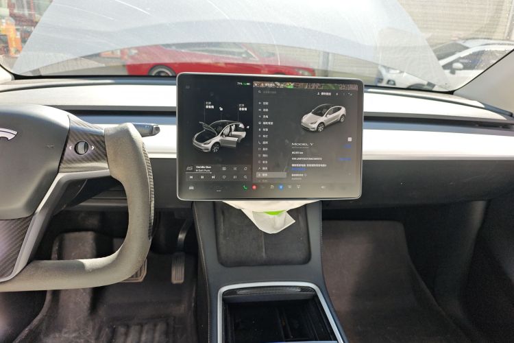 特斯拉 Model Y 2021款 标准续航后驱版局部细节16