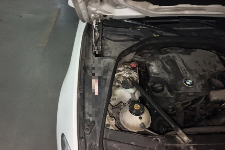 宝马5系 2013款 520Li 典雅型局部细节9006