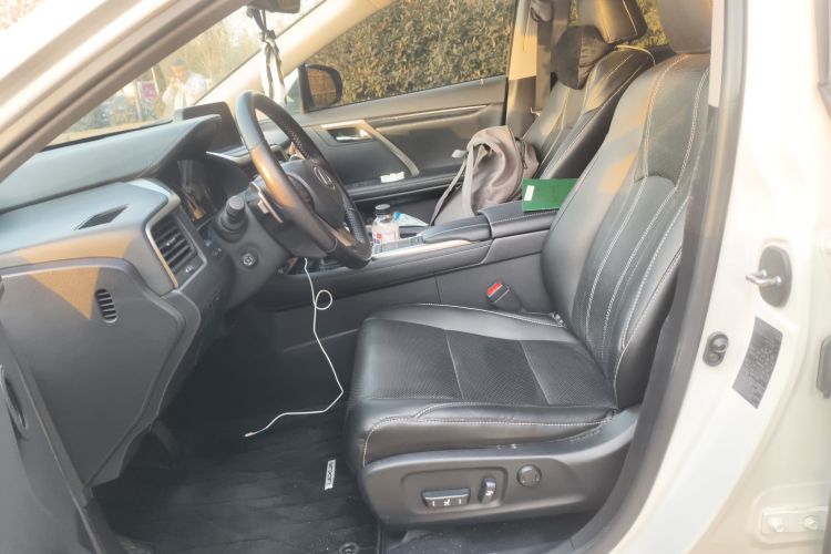 雷克萨斯RX 2020款 300 两驱精英版 国VI中控内饰19