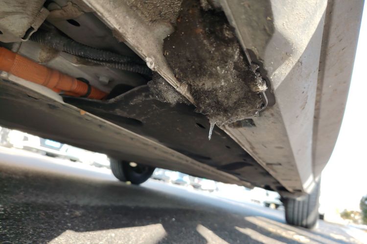 吉利银河 星愿 2025款 410km 自由版局部细节9002