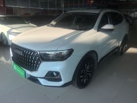 哈弗H6 2023款 国潮版 1.5T 自动都市版