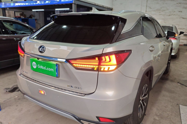 雷克萨斯RX 2020款 300 两驱舒适版 国VI车身外观6005