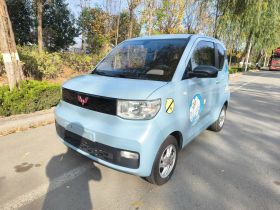 五菱汽车 宏光MINIEV 2020款 自在款 磷酸铁锂