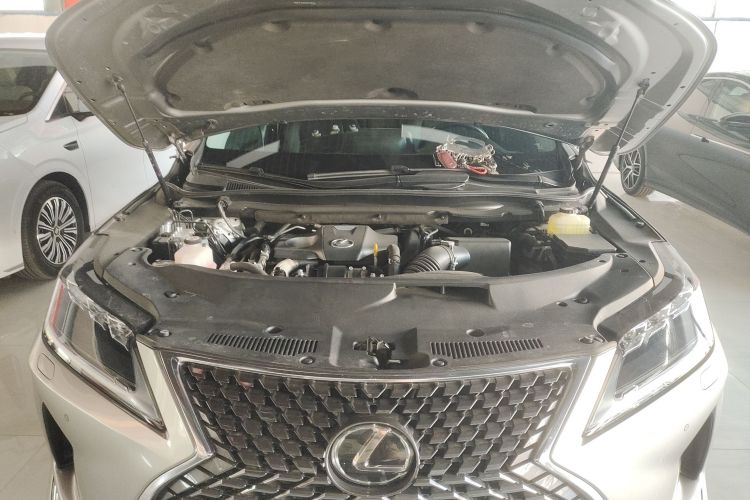 雷克萨斯RX 2020款 改款 300 四驱典雅版机舱底盘24