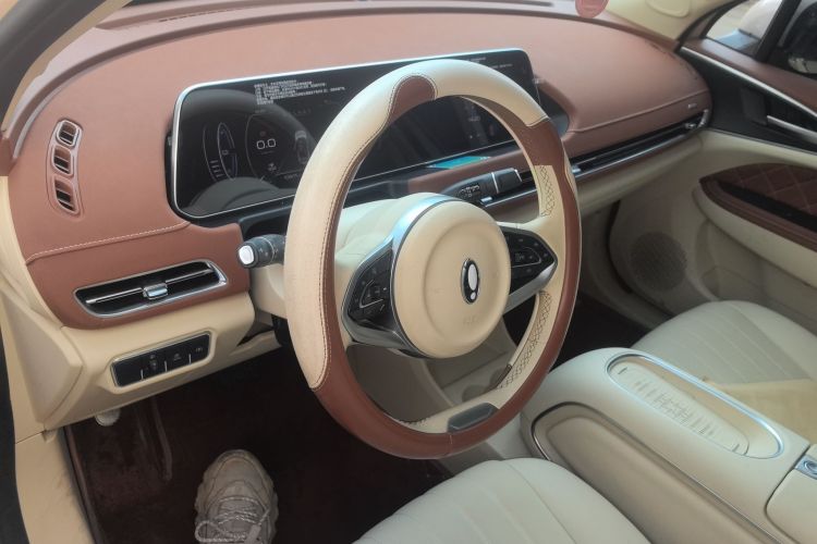 欧拉好猫 2023款 401km标准续航 豪华型 磷酸铁锂中控内饰12