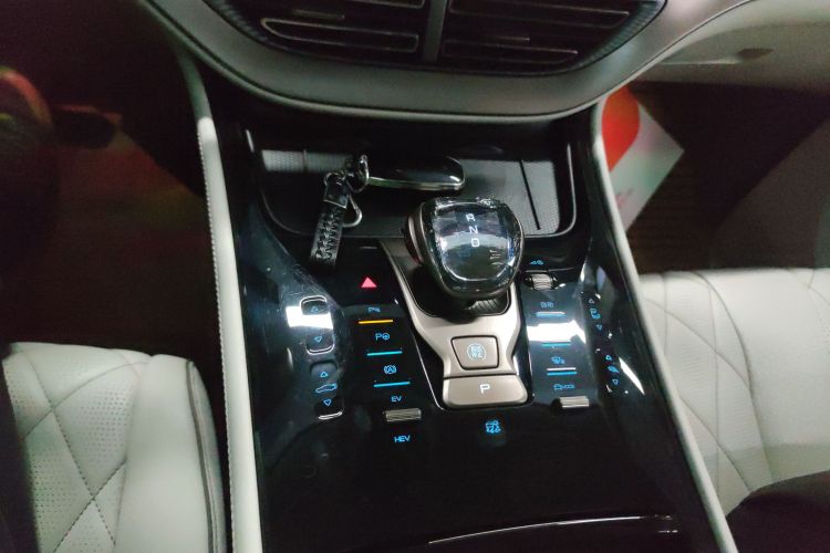 腾势D9 2022款 DM-i 970 四驱旗舰型局部细节18