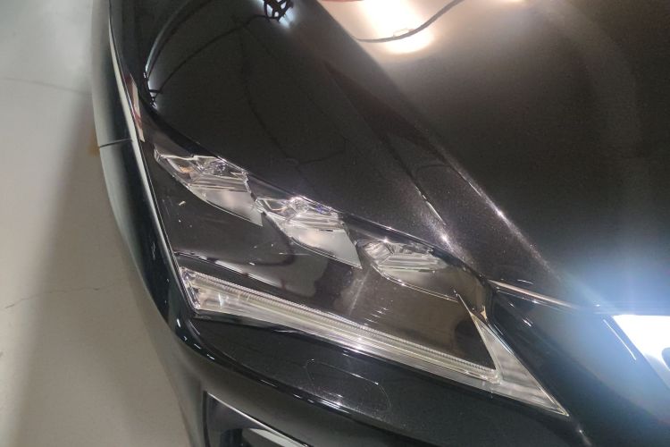 雷克萨斯RX 2016款 300 四驱典雅版 国V车身外观6006