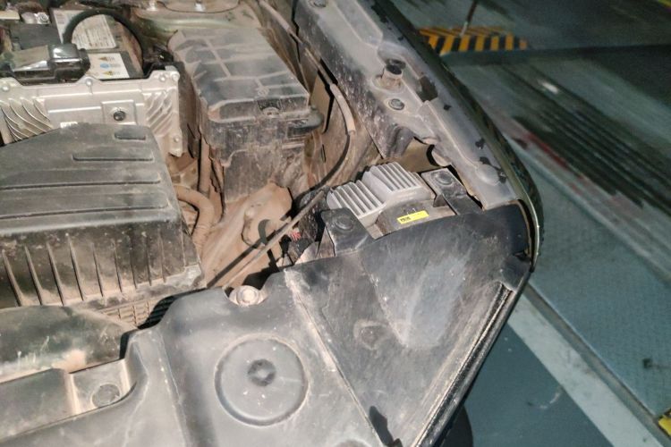 哈弗大狗 2021款 1.5T DCT两驱拉布拉多版局部细节9007