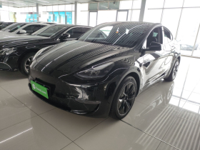 特斯拉 Model Y 2021款 标准续航后驱版