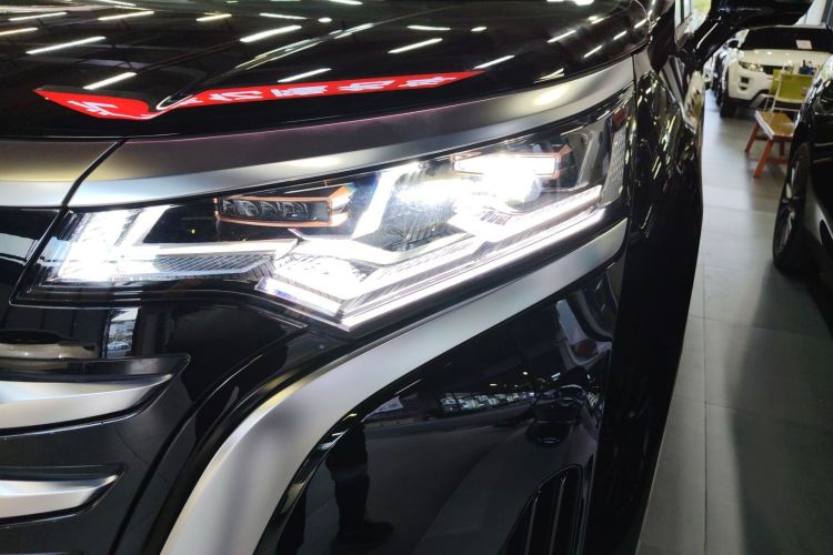 腾势D9 2022款 DM-i 970 四驱尊荣型车身外观36