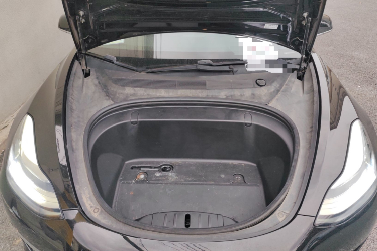 特斯拉 Model 3(进口) 2019款 长续航全轮驱动版局部细节24