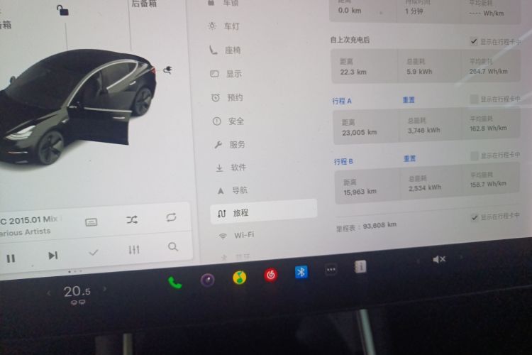 特斯拉 Model 3(进口) 2019款 长续航全轮驱动版局部细节14