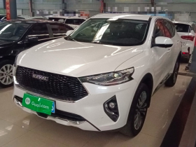 哈弗F7 2019款 2.0T 两驱i范 国V