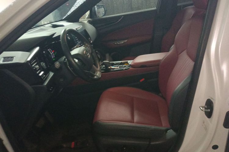 雷克萨斯NX新能源 2022款 400h+ 畅悦版中控内饰19